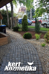 Macskaköves járda mentén örökzöldek (37)